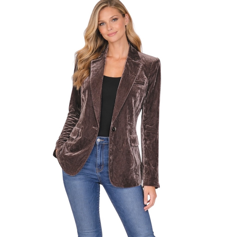 Cassis Silk Blend Velvet‎ Single-Button Brown Blazer size Medium business casual